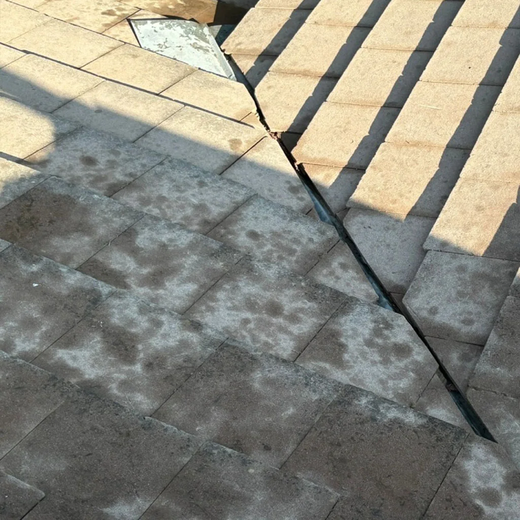 Solar-Panel-F2
