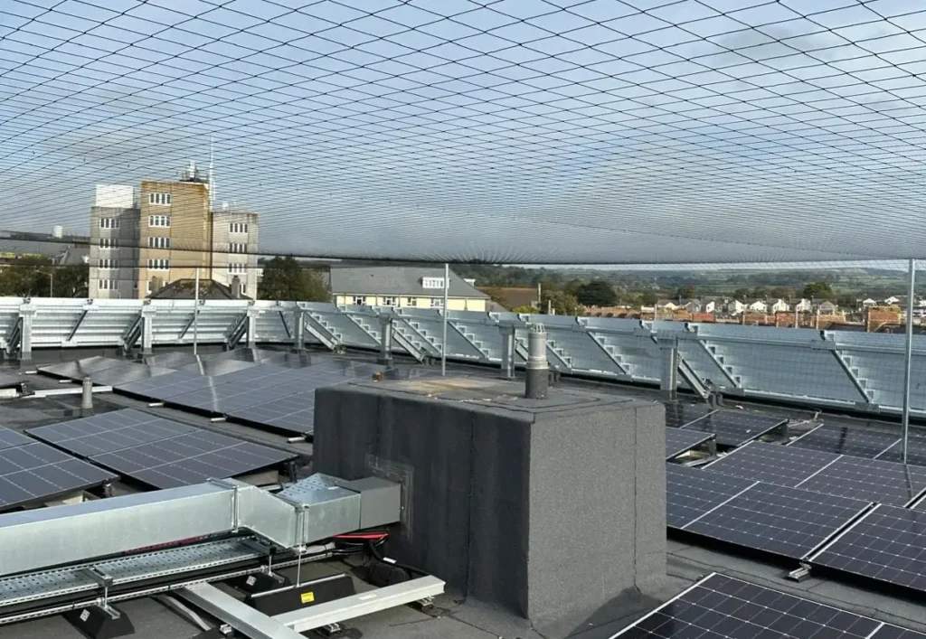 Bird Mesh Installation From Start To Finish