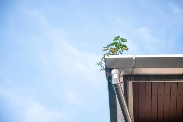 Why Your Gutters Need More Than Occasional Attention
