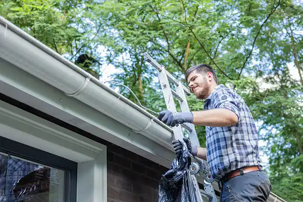 A Seven-Step Process for Cleaning Gutters Safely
